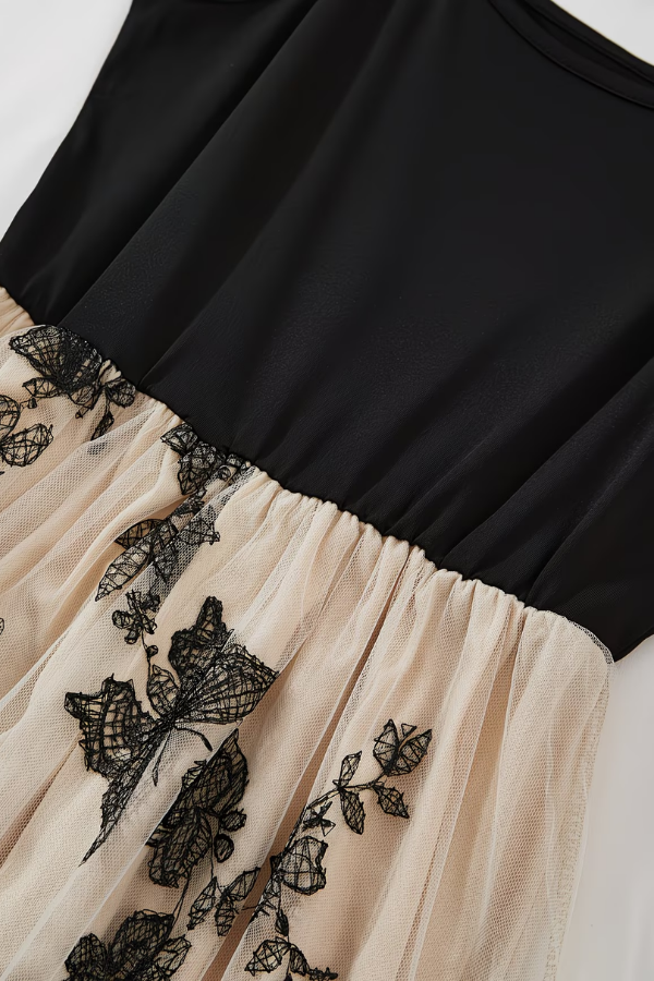 Delicate Mesh Dress