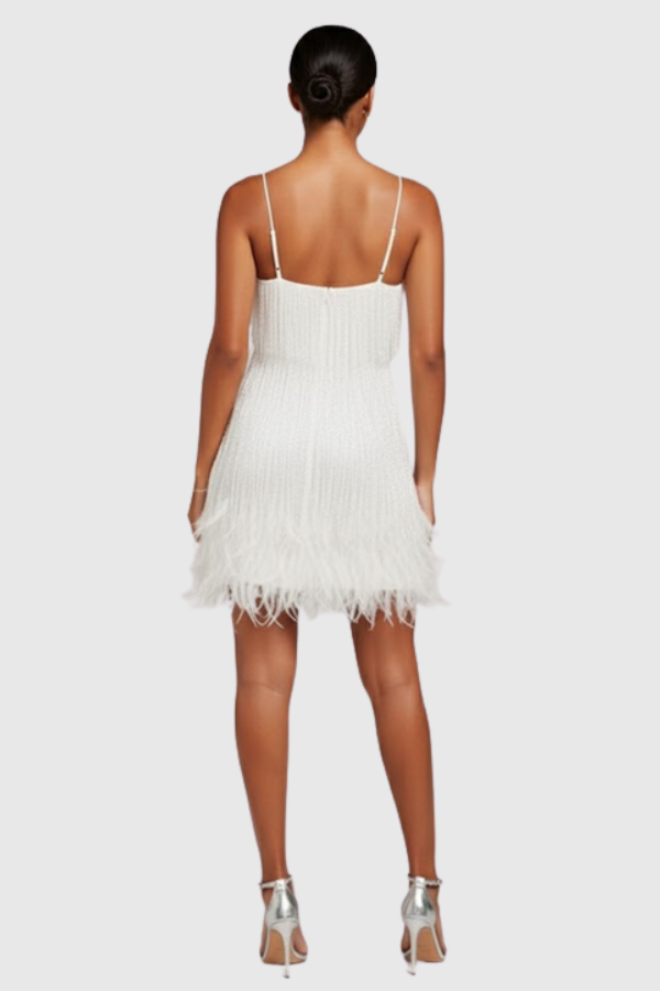 Fringe Feather Cocktail Dress