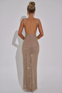 Elegant Embellished Evening Maxi Gown