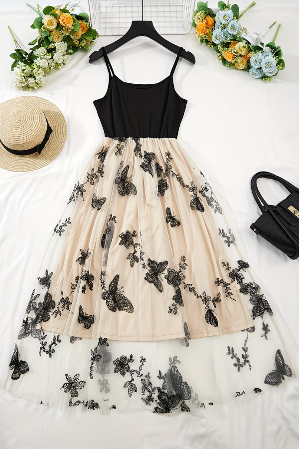 Delicate Mesh Dress