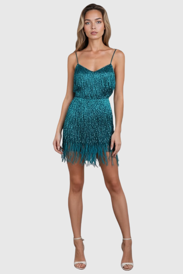 Fringe Feather Cocktail Dress