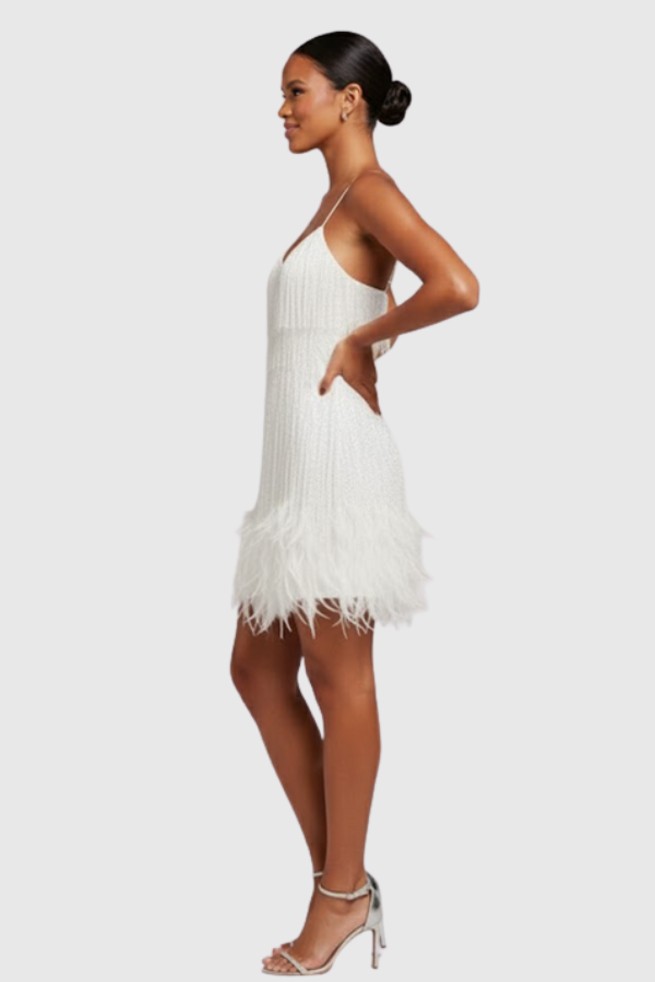 Fringe Feather Cocktail Dress