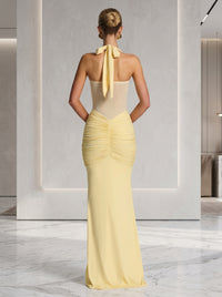 Graceful Silhouette Evening Maxi Dress